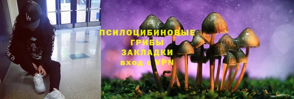 ПСИЛОЦИБИНОВЫЕ ГРИБЫ Армянск